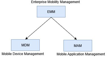 EMM Diagram